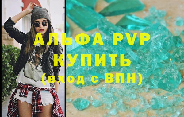 ПСИЛОЦИБИНОВЫЕ ГРИБЫ Няндома