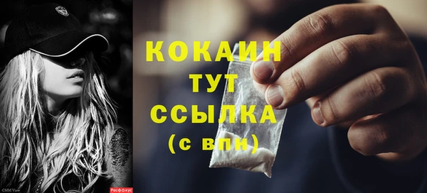 ПСИЛОЦИБИНОВЫЕ ГРИБЫ Няндома