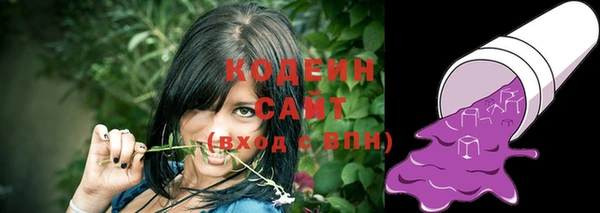 ПСИЛОЦИБИНОВЫЕ ГРИБЫ Няндома