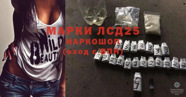 ПСИЛОЦИБИНОВЫЕ ГРИБЫ Няндома