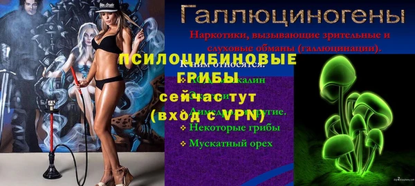 ПСИЛОЦИБИНОВЫЕ ГРИБЫ Няндома