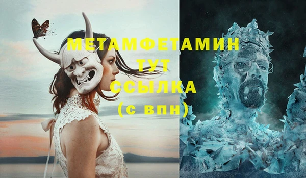 ПСИЛОЦИБИНОВЫЕ ГРИБЫ Няндома