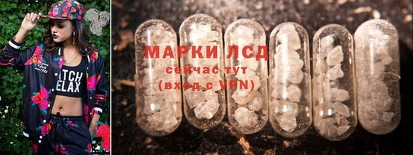 молекула духа Новодвинск