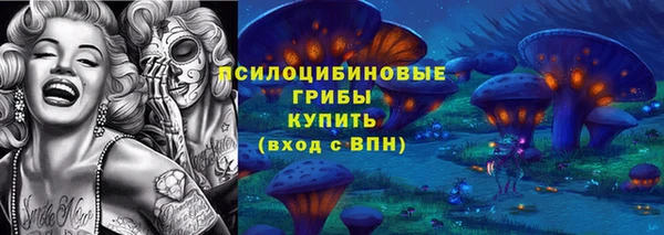 ПСИЛОЦИБИНОВЫЕ ГРИБЫ Няндома
