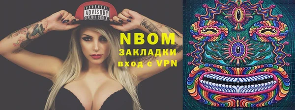 ПСИЛОЦИБИНОВЫЕ ГРИБЫ Няндома