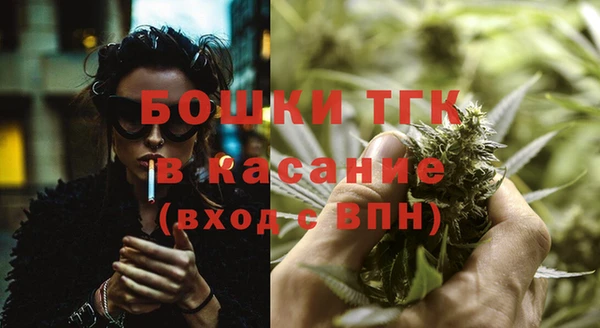ПСИЛОЦИБИНОВЫЕ ГРИБЫ Няндома