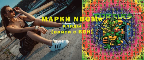 ПСИЛОЦИБИНОВЫЕ ГРИБЫ Няндома