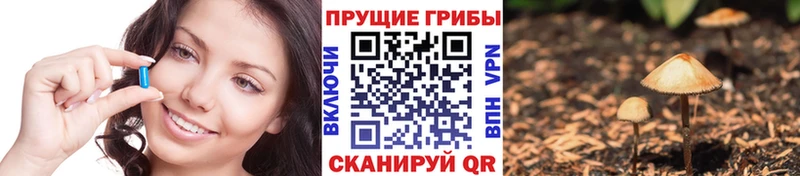 купить   Курганинск  Галлюциногенные грибы мухоморы 