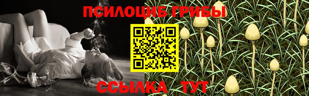Галлюциногенные грибы прущие грибы  Вход с VPN  Курганинск 